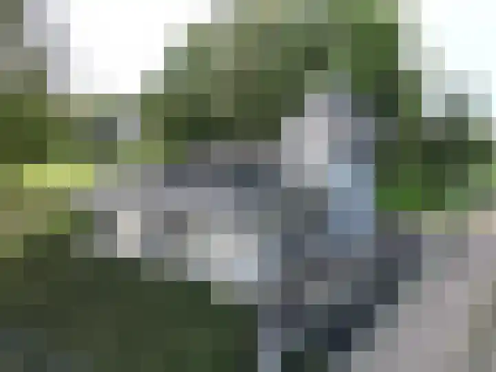 Zandstraat 4 Kerkdriel thumbnail 32