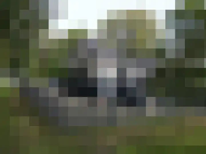 Zandstraat 4 Kerkdriel thumbnail 34