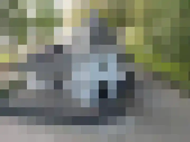 Zandstraat 4 Kerkdriel thumbnail 35