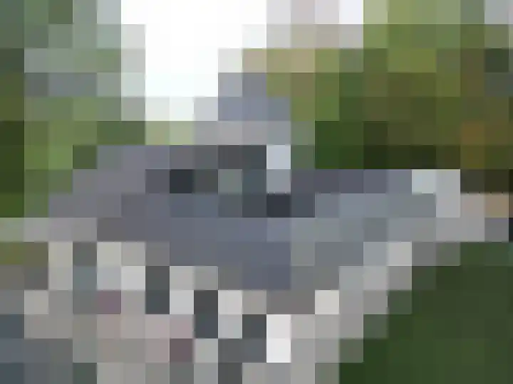 Zandstraat 4 Kerkdriel thumbnail 37