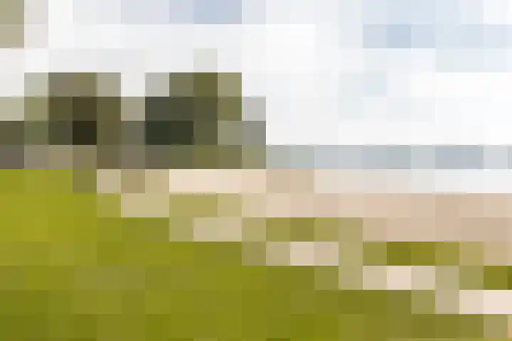 Zandstraat 4 Kerkdriel thumbnail 43