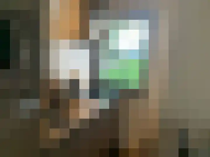 Zandstraat 4 Kerkdriel thumbnail 5