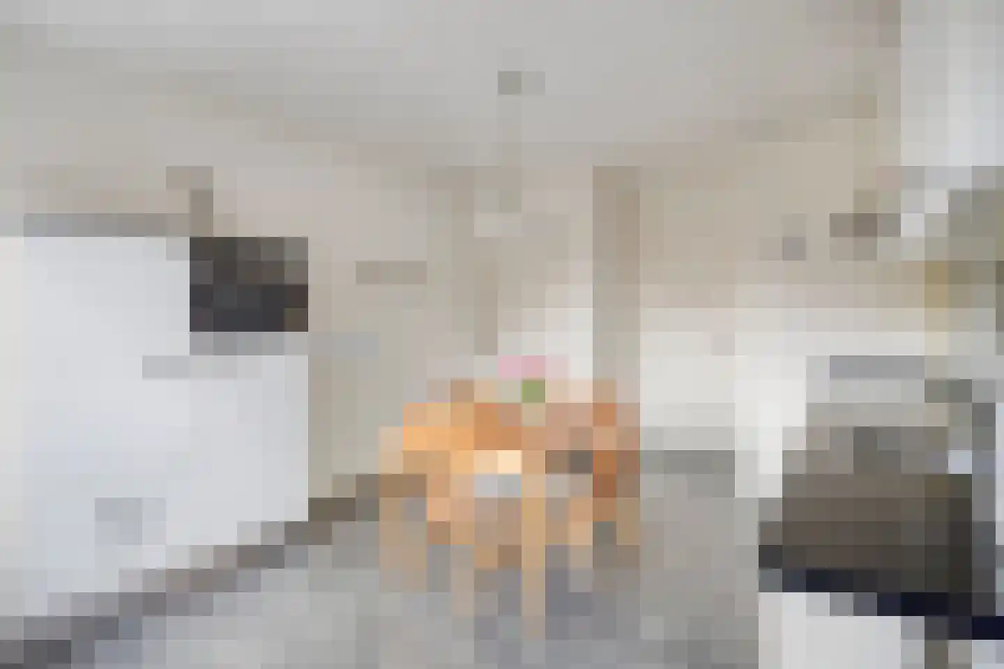 Zandstraat 4 Koningslust thumbnail 14