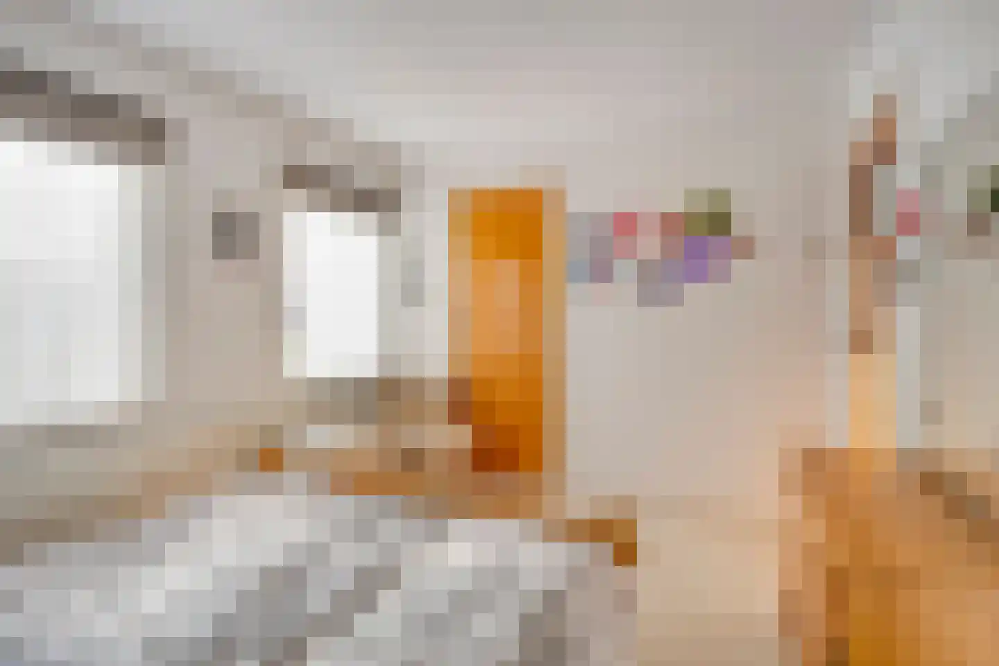 Zandstraat 4 Koningslust thumbnail 22