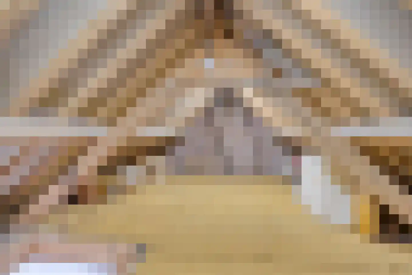 Zandstraat 4 Koningslust thumbnail 26