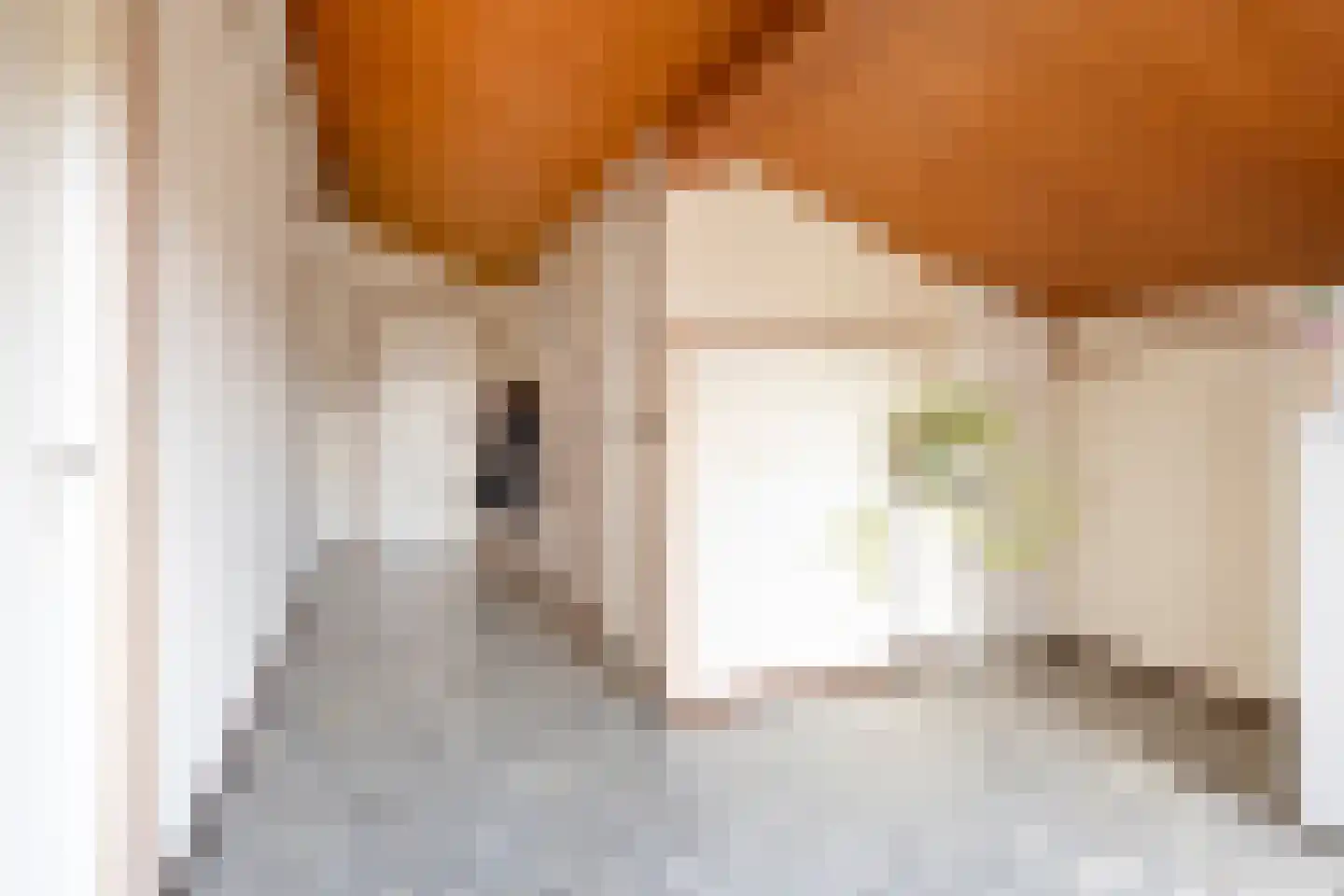 Zandstraat 4 Koningslust thumbnail 27