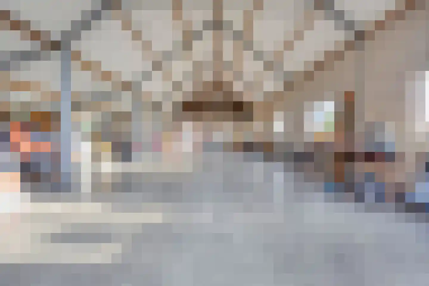 Zandstraat 4 Koningslust thumbnail 34
