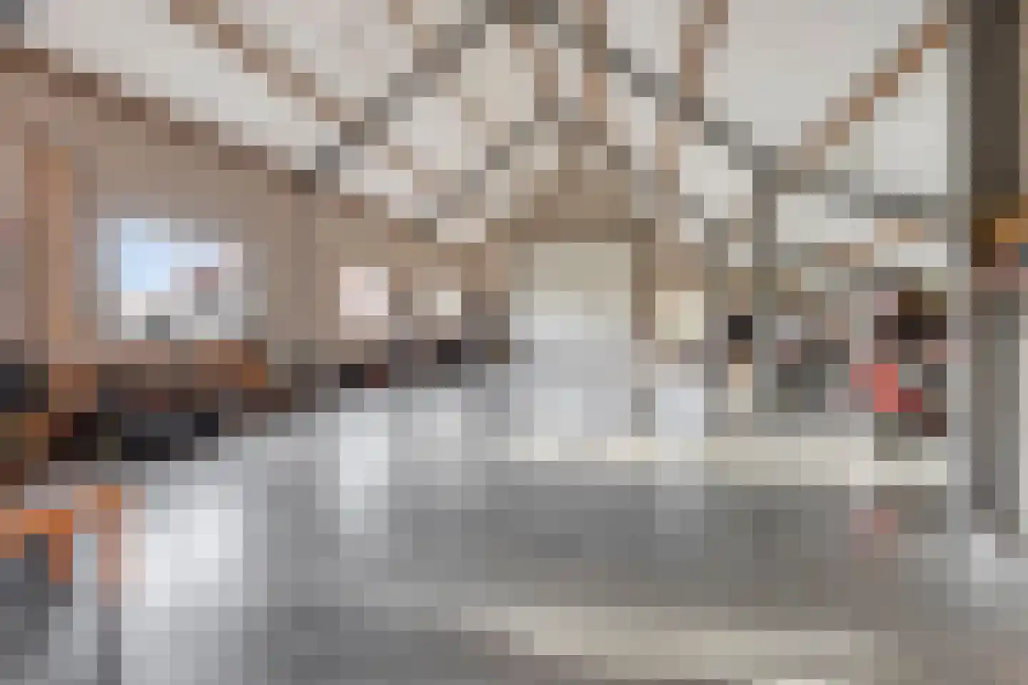 Zandstraat 4 Koningslust thumbnail 35