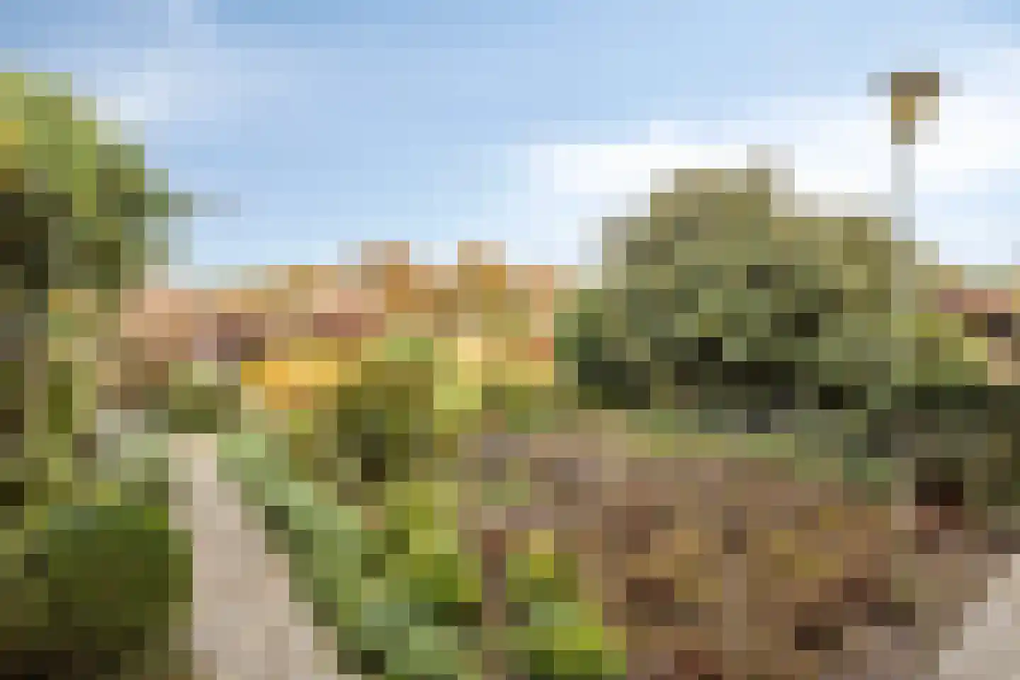 Zandstraat 4 Koningslust thumbnail 37