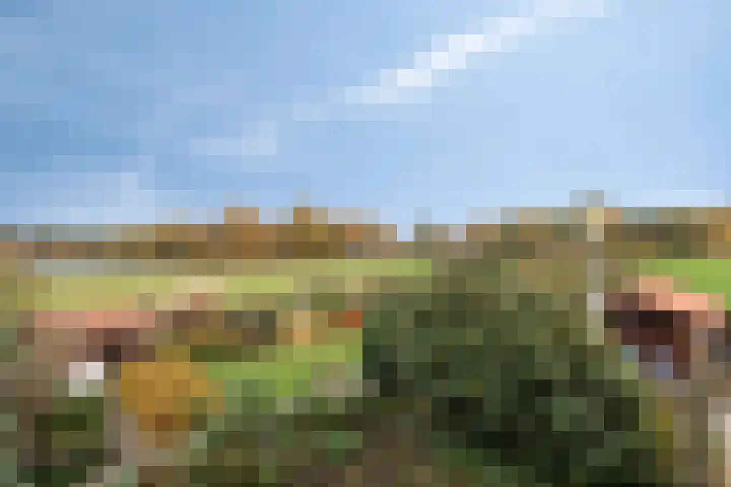 Zandstraat 4 Koningslust thumbnail 38