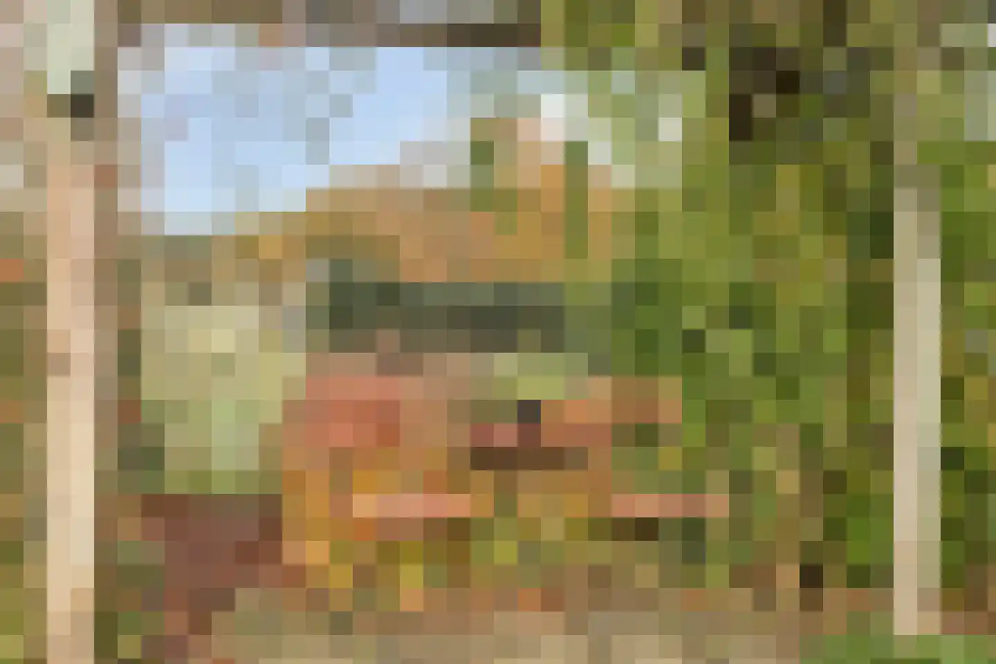 Zandstraat 4 Koningslust thumbnail 40