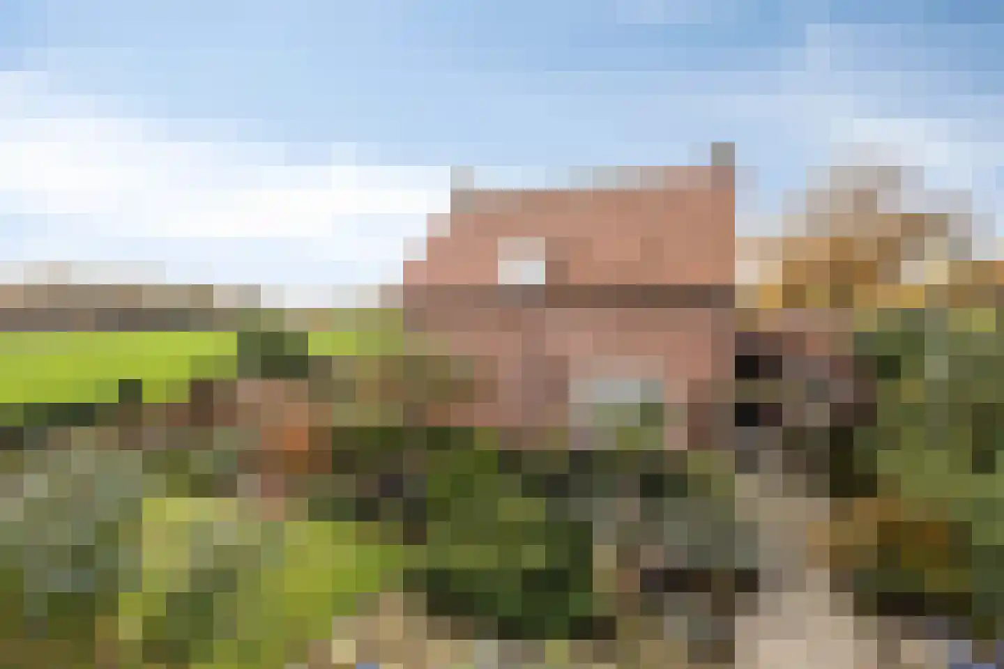 Zandstraat 4 Koningslust thumbnail 6