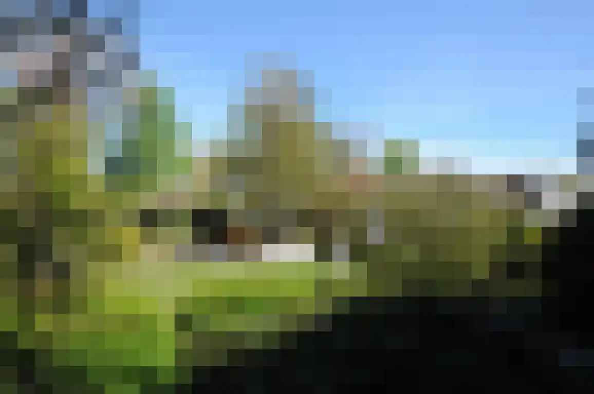 Zandstraat 4 Sluis thumbnail 26