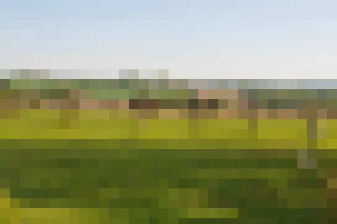 Zandstraat 4 Sluis thumbnail 28