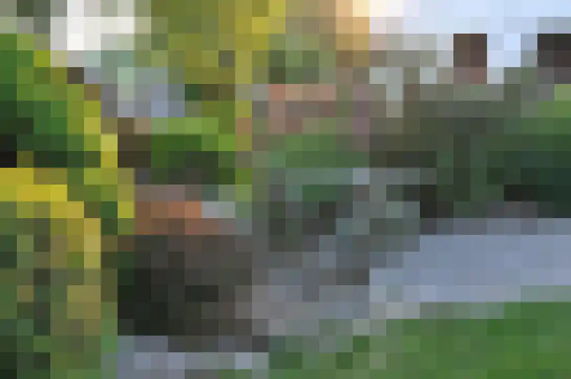 Zandstraat 4 Sluis thumbnail 29