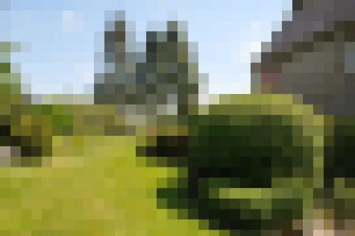 Zandstraat 4 Sluis thumbnail 30