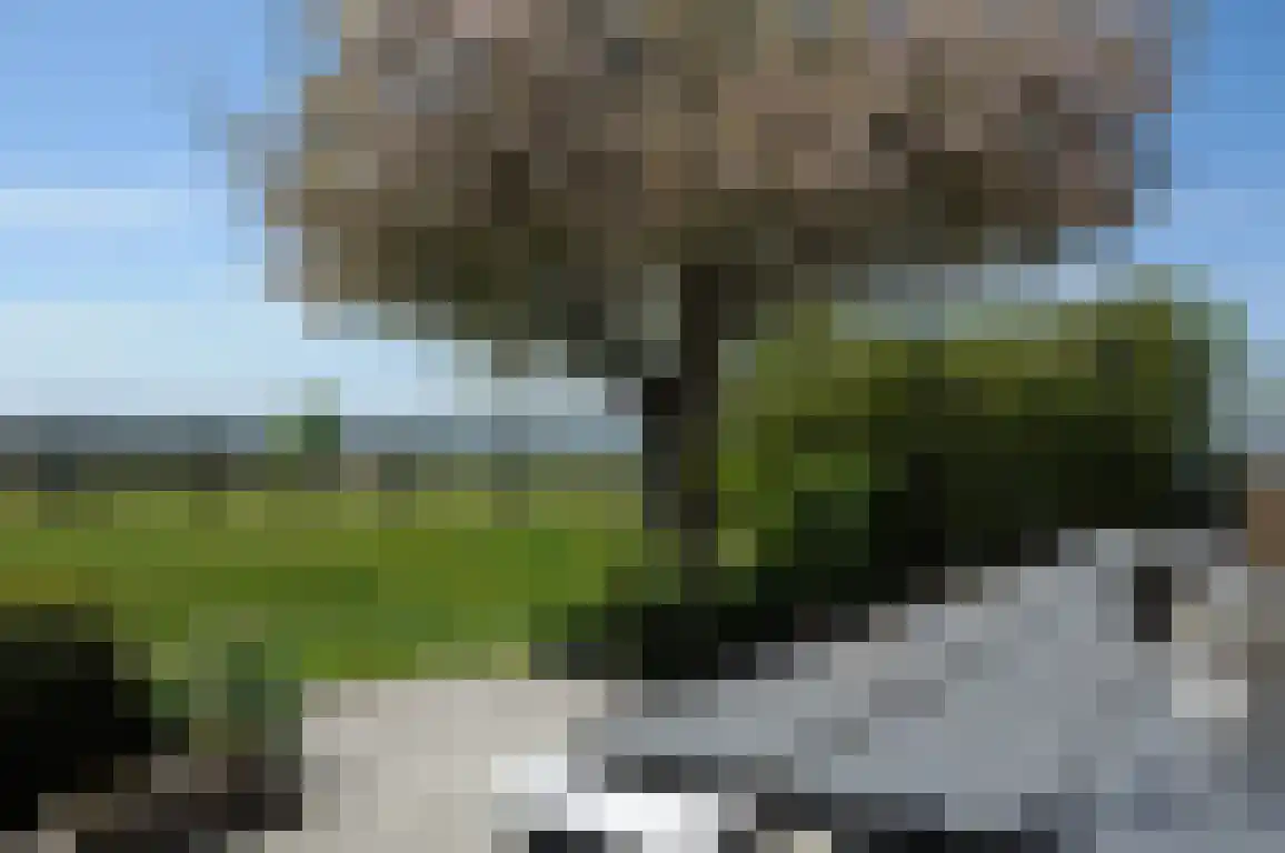 Zandstraat 4 Sluis thumbnail 32