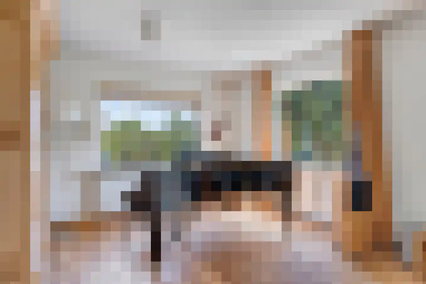 Zandstraat 44 Beneden-Leeuwen thumbnail 10
