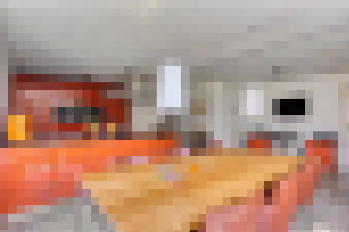 Zandstraat 44 Beneden-Leeuwen thumbnail 15