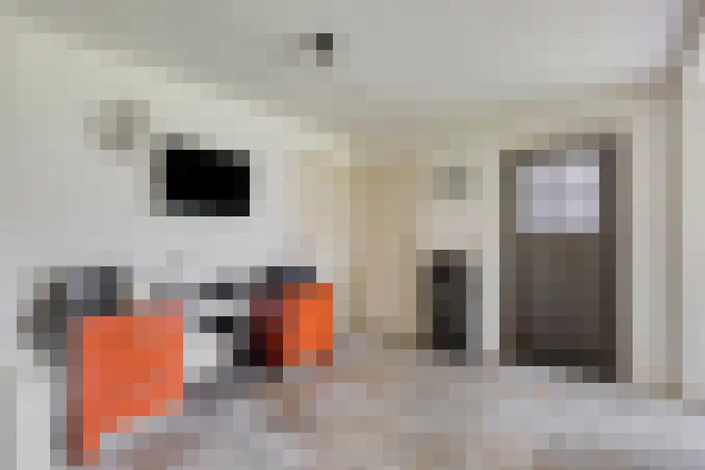 Zandstraat 44 Beneden-Leeuwen thumbnail 17