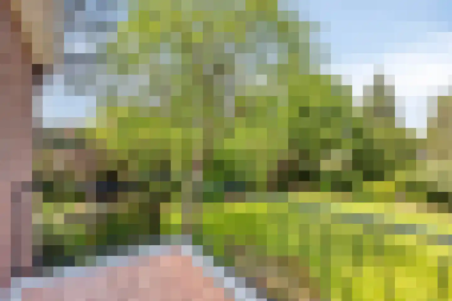 Zandstraat 44 Beneden-Leeuwen thumbnail 31