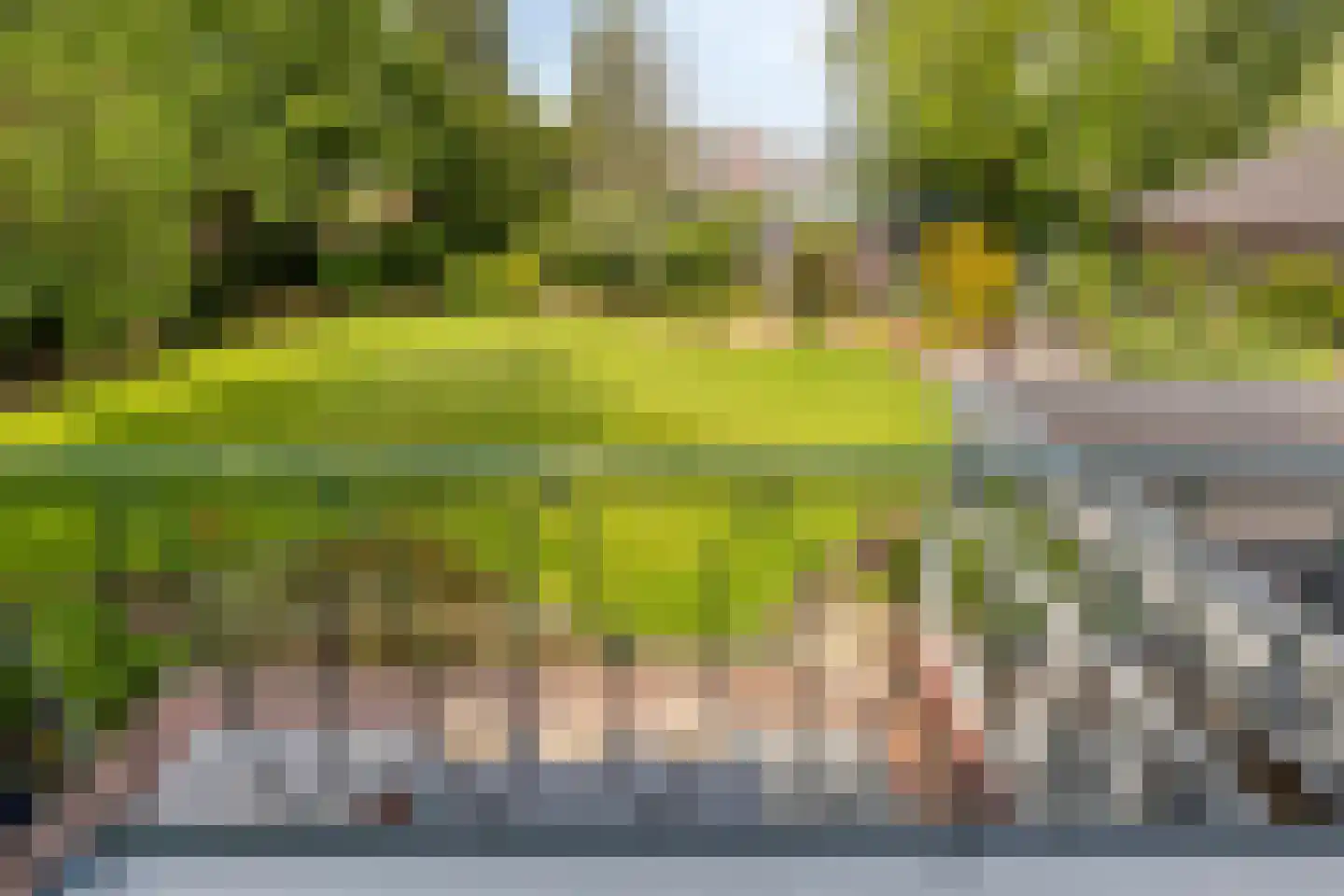Zandstraat 44 Beneden-Leeuwen thumbnail 32