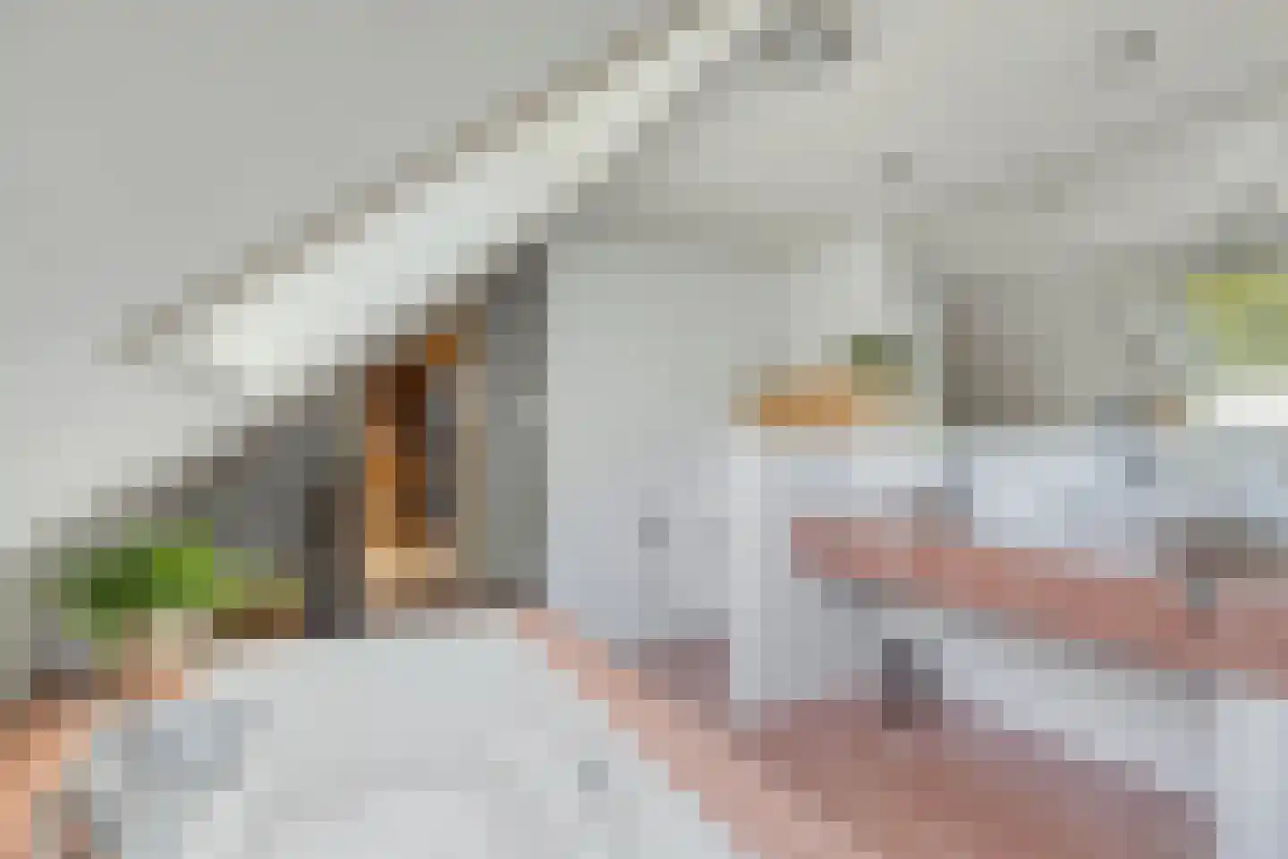 Zandstraat 44 Beneden-Leeuwen thumbnail 35