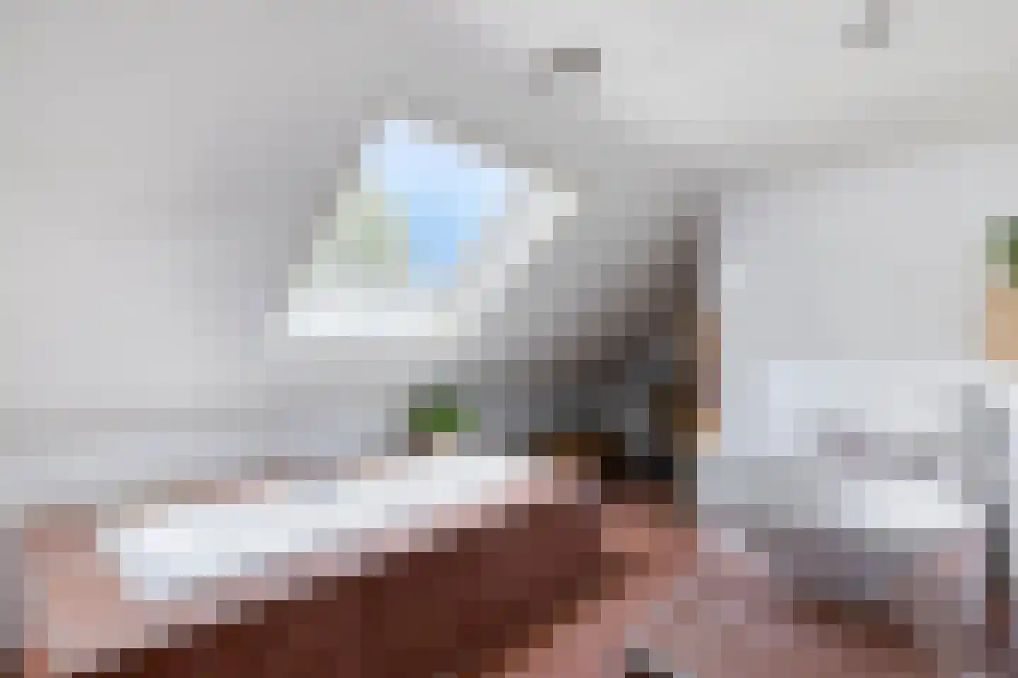 Zandstraat 44 Beneden-Leeuwen thumbnail 36