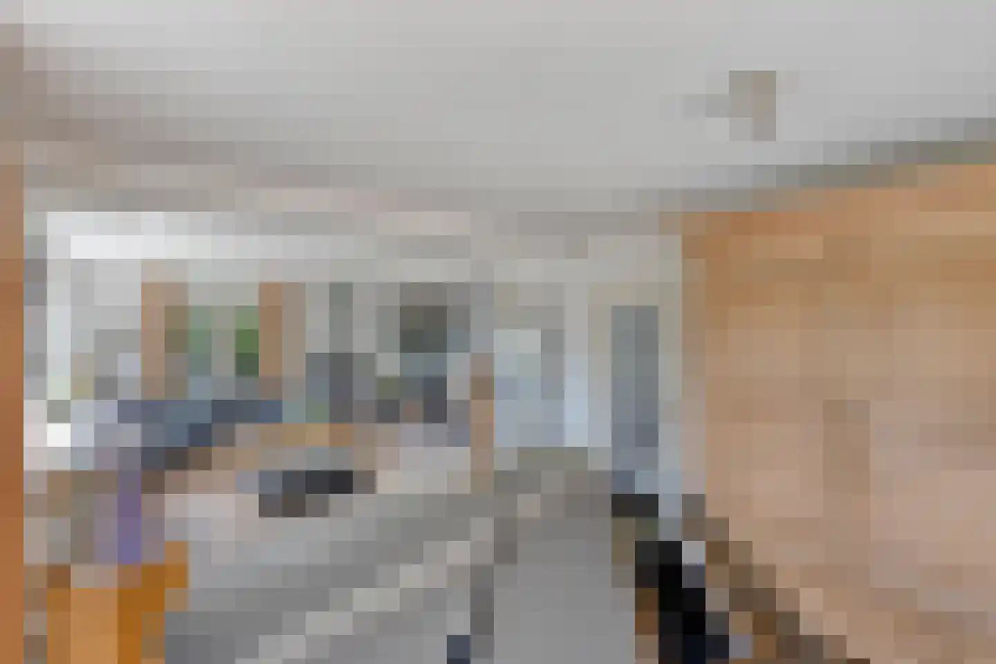 Zandstraat 44 Beneden-Leeuwen thumbnail 4
