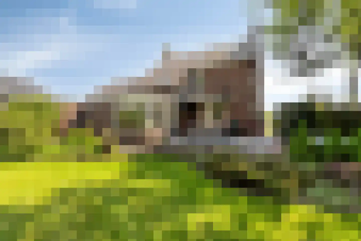 Zandstraat 44 Beneden-Leeuwen thumbnail 48