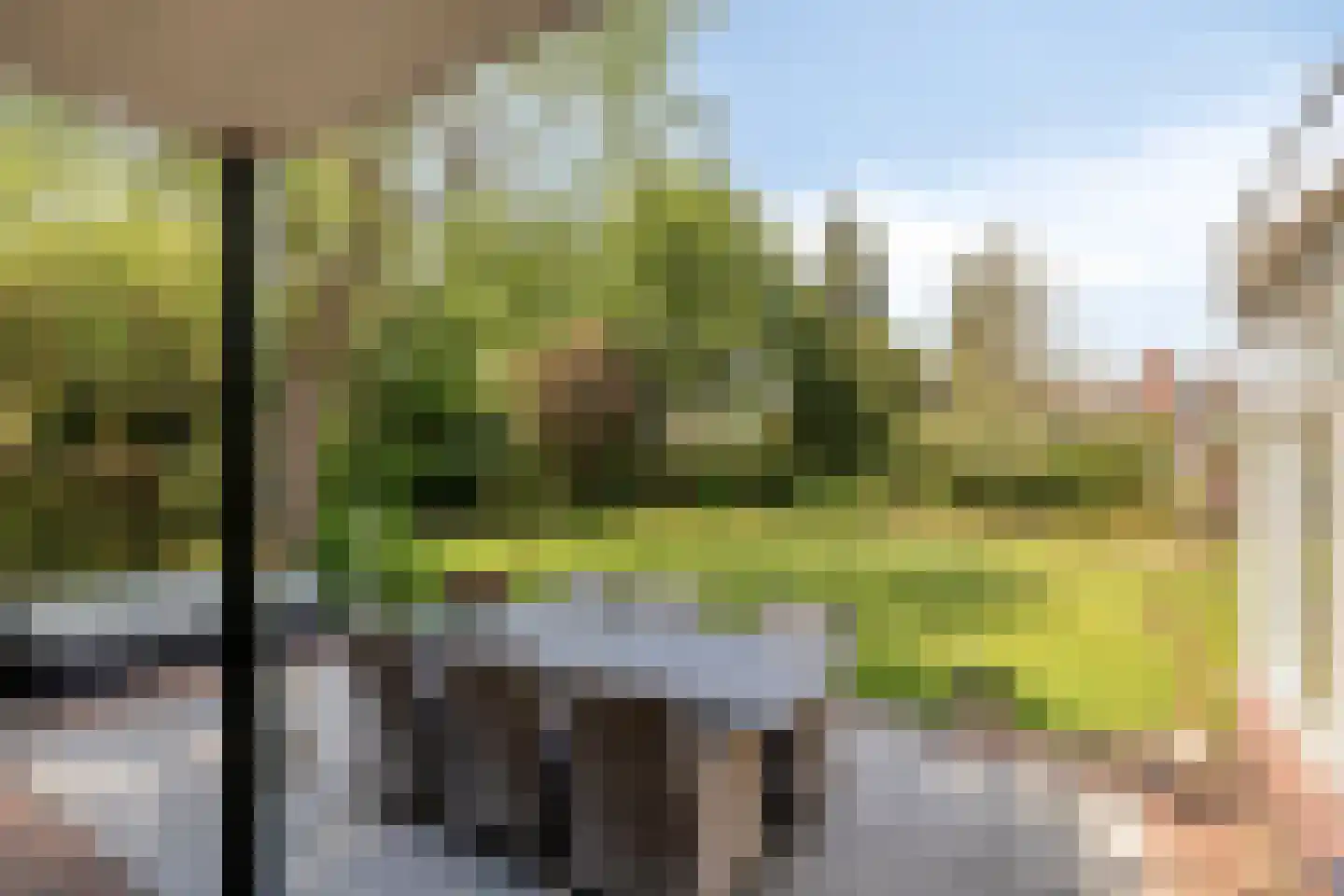 Zandstraat 44 Beneden-Leeuwen thumbnail 49