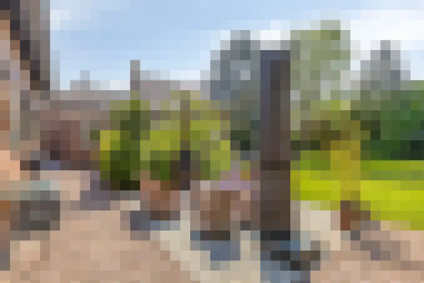 Zandstraat 44 Beneden-Leeuwen thumbnail 54