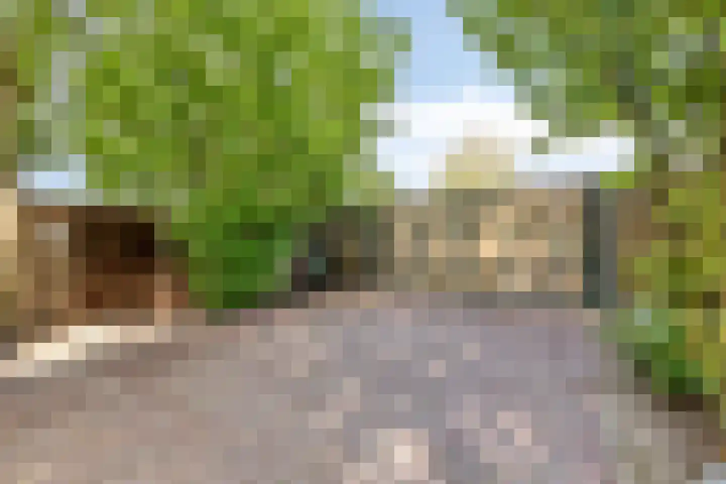 Zandstraat 44 Beneden-Leeuwen thumbnail 55