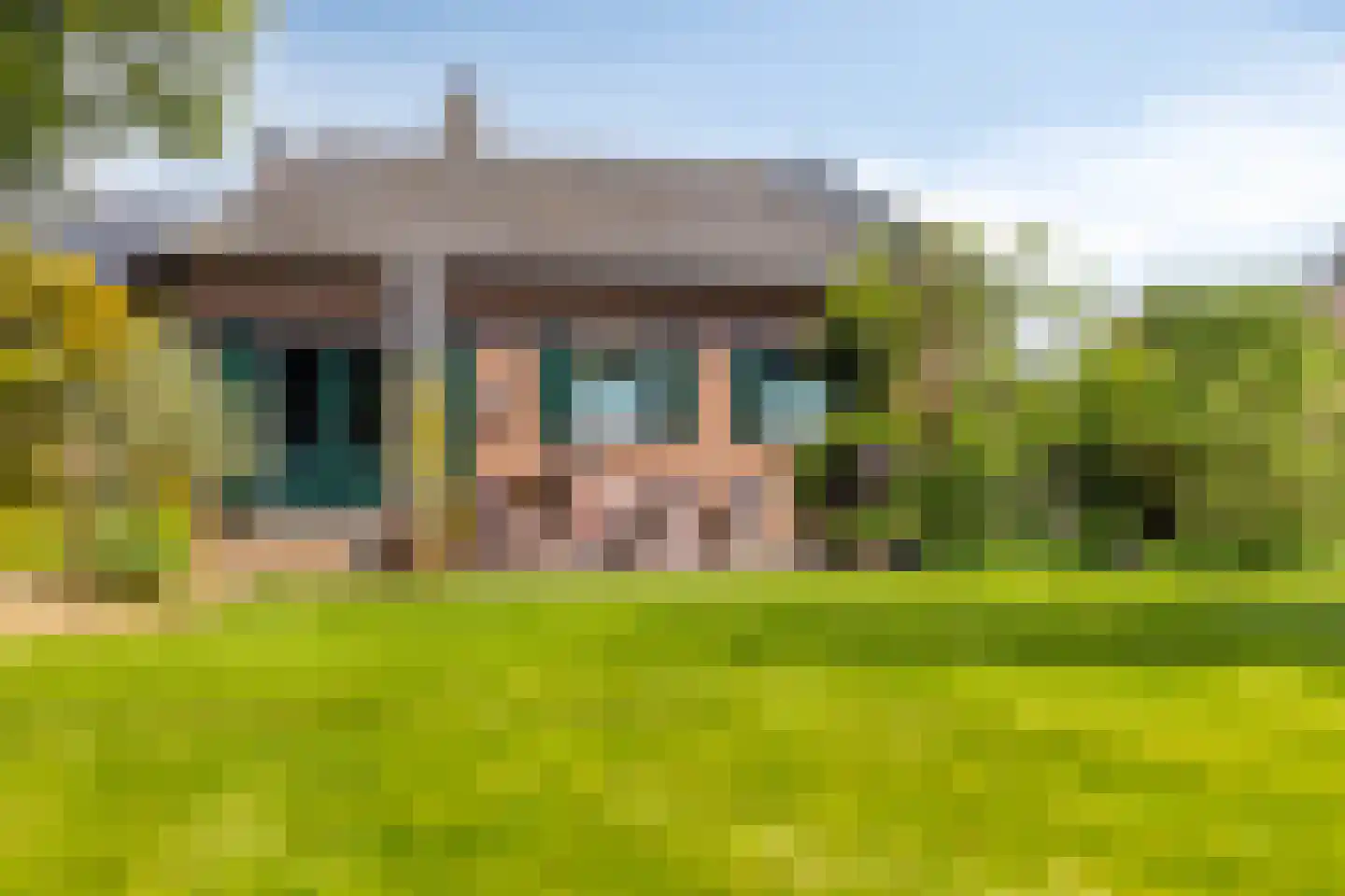 Zandstraat 44 Beneden-Leeuwen thumbnail 57