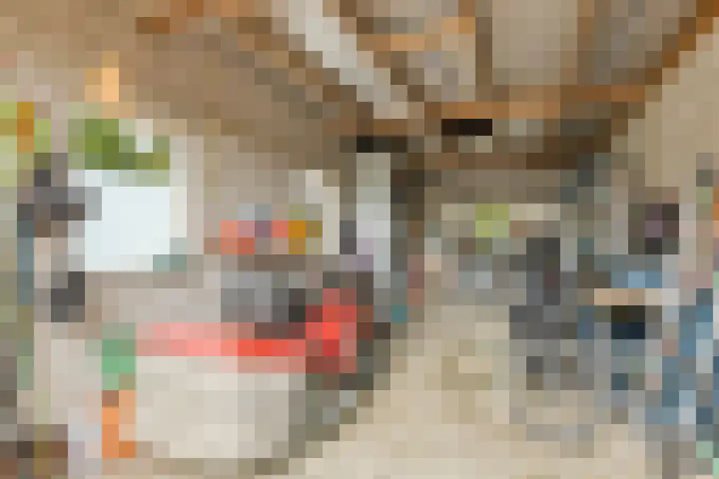 Zandstraat 44 Beneden-Leeuwen thumbnail 59