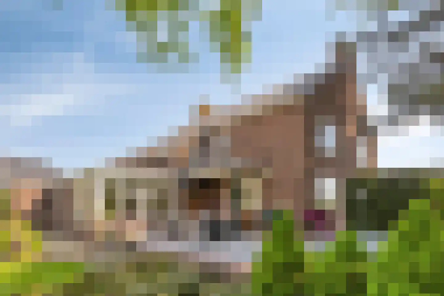 Zandstraat 44 Beneden-Leeuwen thumbnail 61