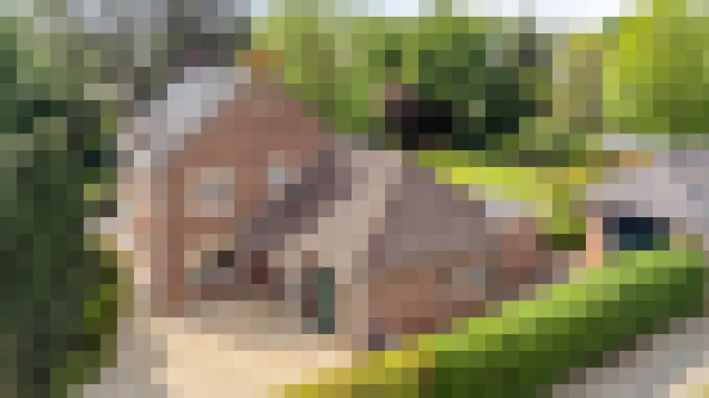 Zandstraat 44 Beneden-Leeuwen thumbnail 63