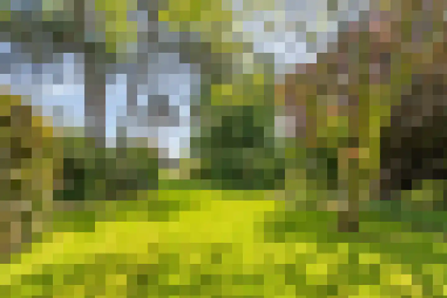 Zandstraat 44 Beneden-Leeuwen thumbnail 66