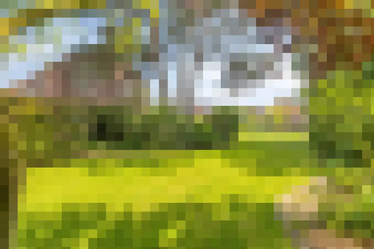 Zandstraat 44 Beneden-Leeuwen thumbnail 67