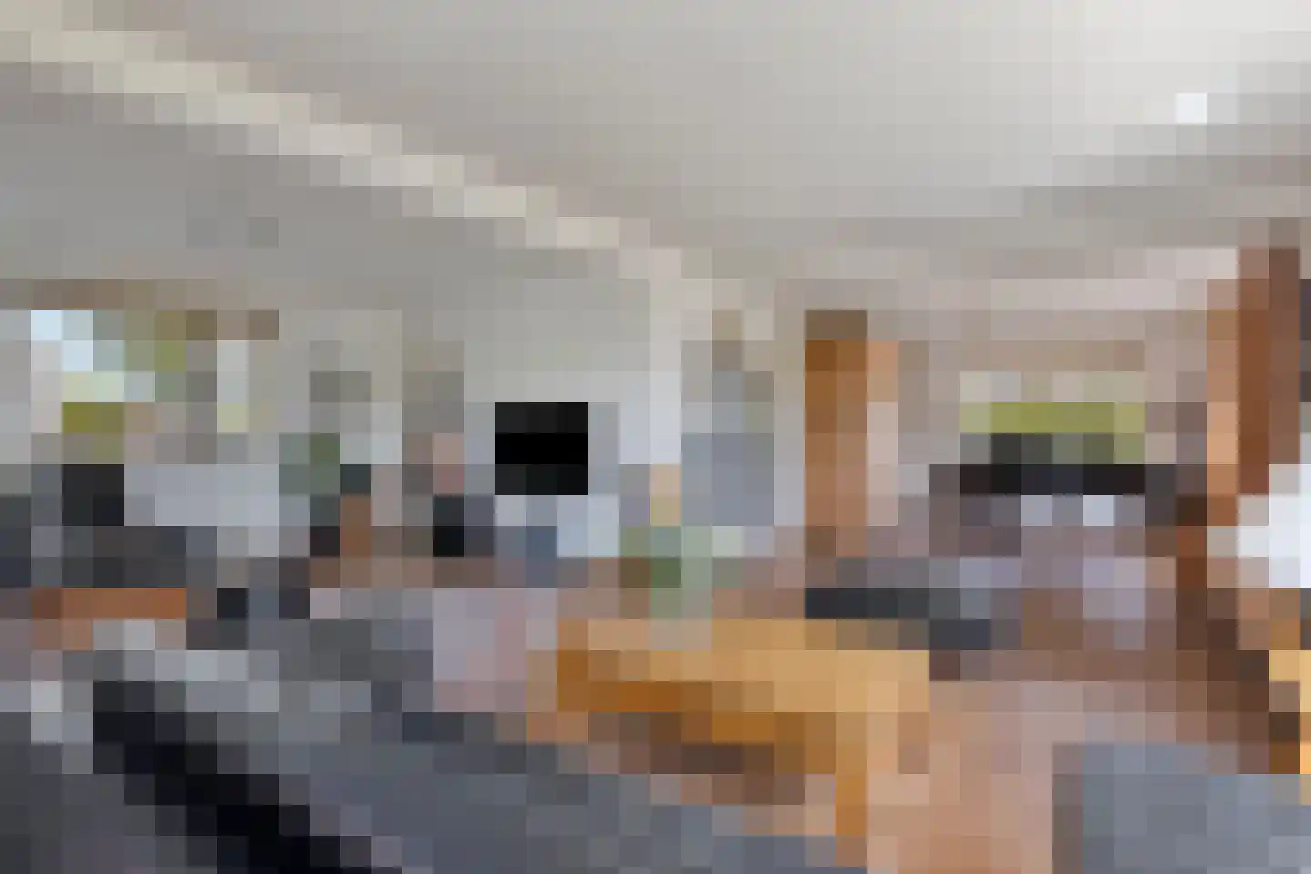 Zandstraat 44 Beneden-Leeuwen thumbnail 7
