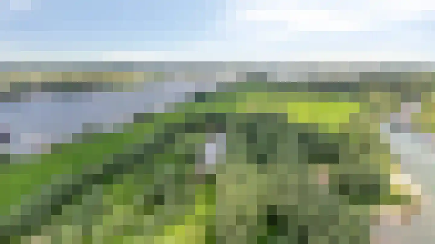 Zandstraat 44 Beneden-Leeuwen thumbnail 73