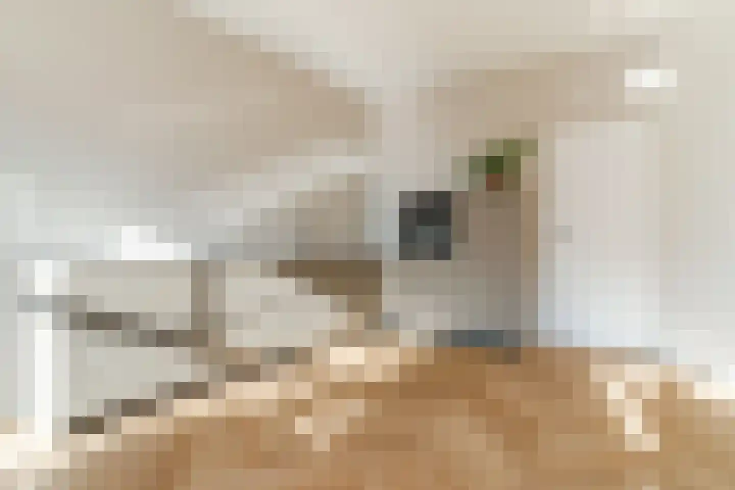 Zandstraat 44 Culemborg thumbnail 11