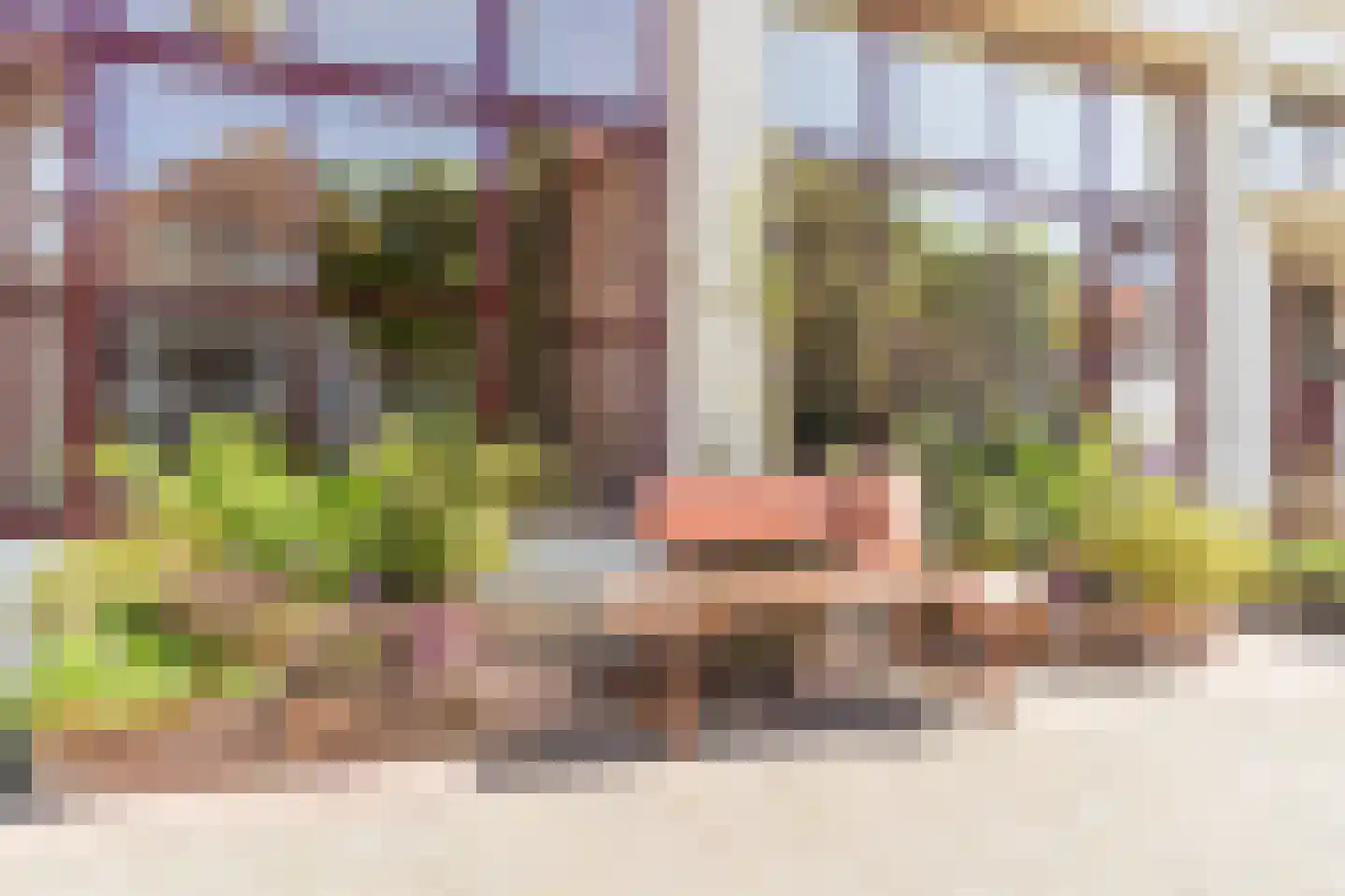 Zandstraat 44 Culemborg thumbnail 5