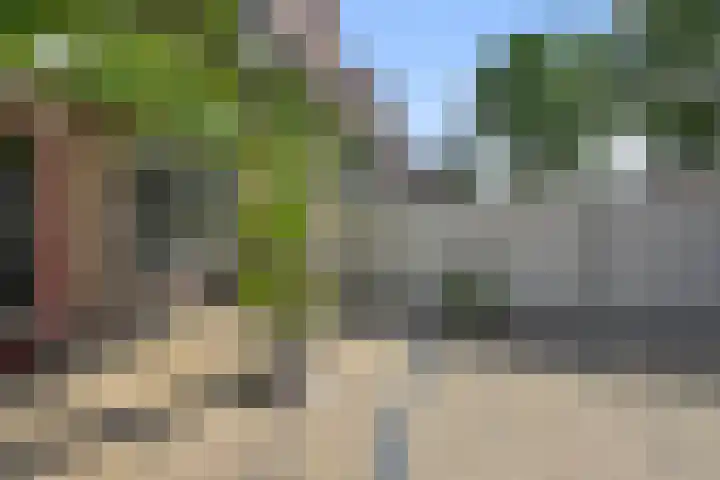 Zandstraat 45 Berlicum thumbnail 12