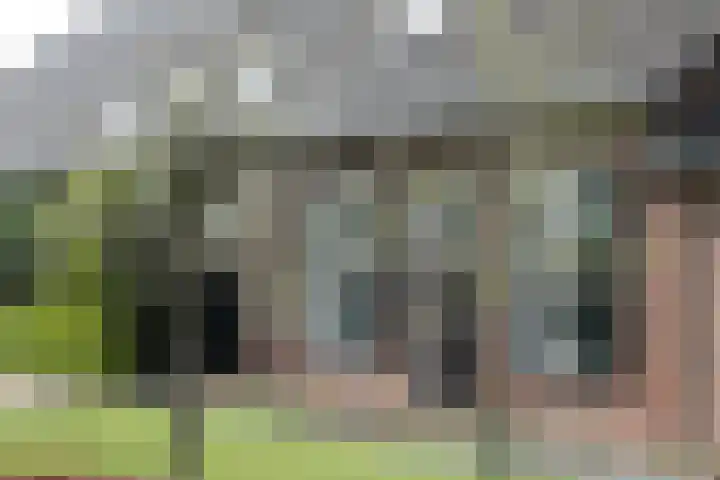 Zandstraat 45 Berlicum thumbnail 12