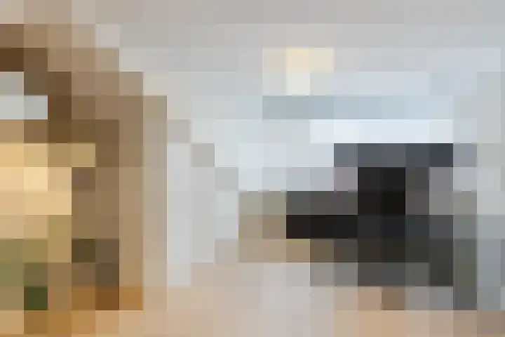 Zandstraat 45 Berlicum thumbnail 31
