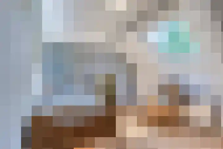 Zandstraat 45 Berlicum thumbnail 34