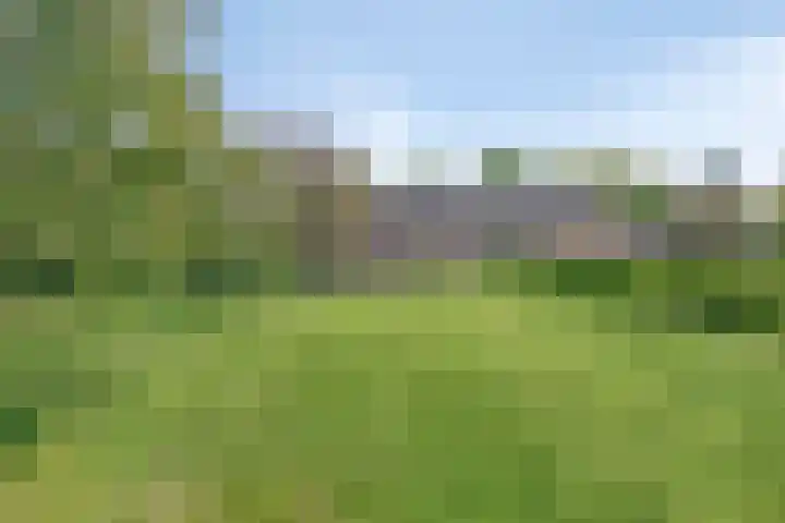 Zandstraat 45 Berlicum thumbnail 4