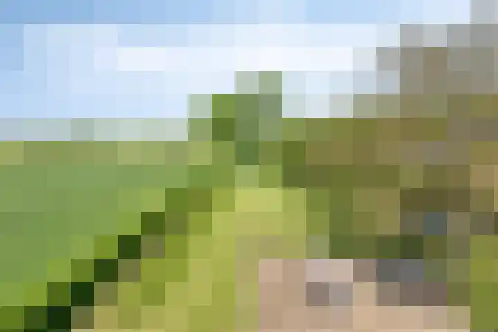 Zandstraat 45 Berlicum thumbnail 40