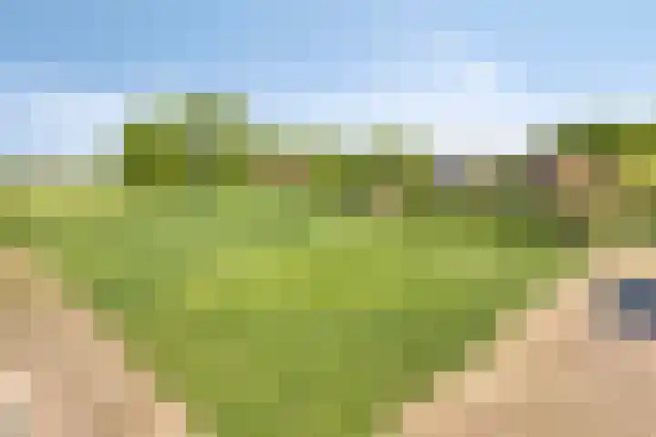 Zandstraat 45 Berlicum thumbnail 41